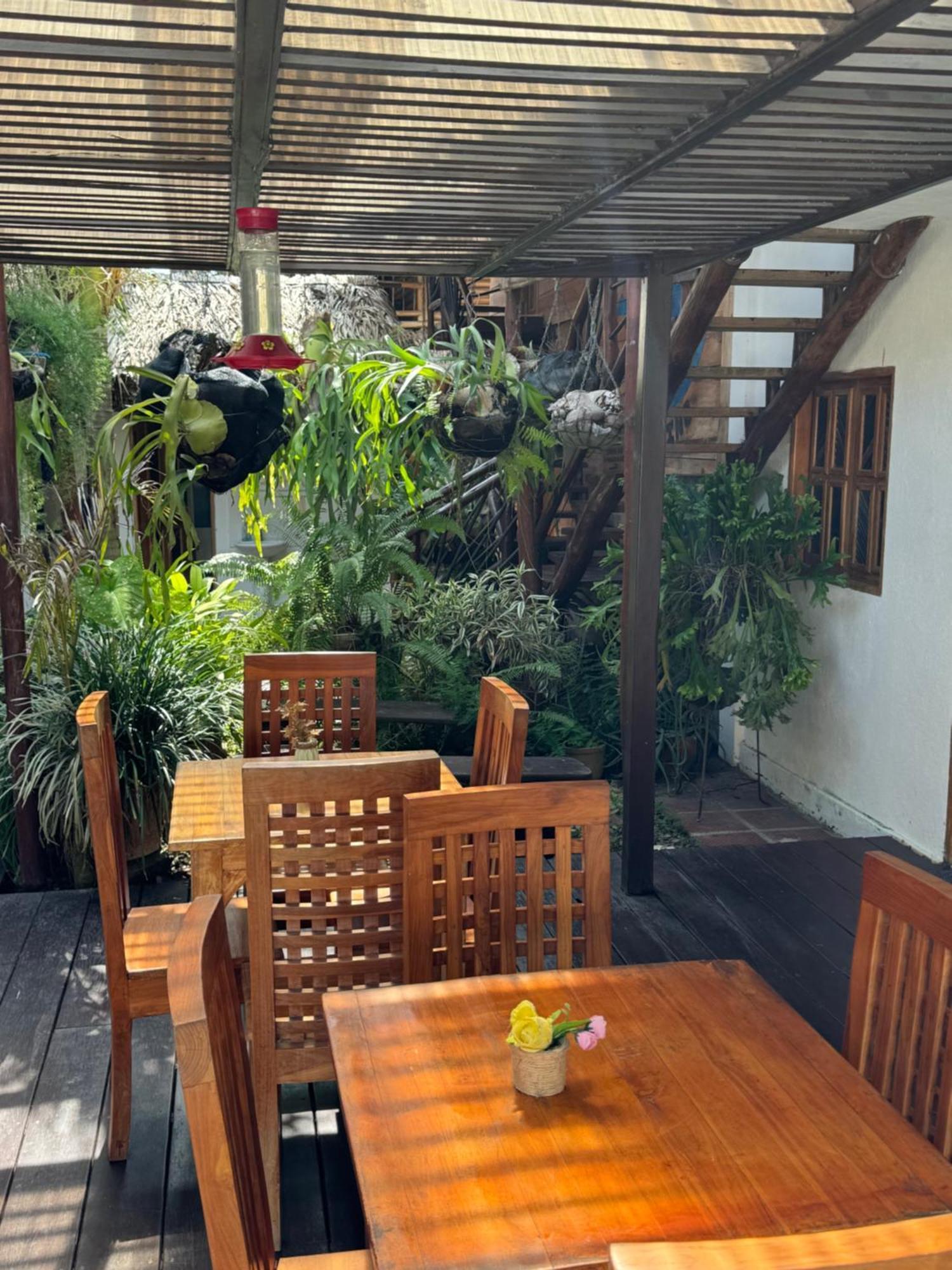 Hostal Nibuni 팔로미노 외부 사진